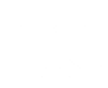 Aero Spa private jet detailing