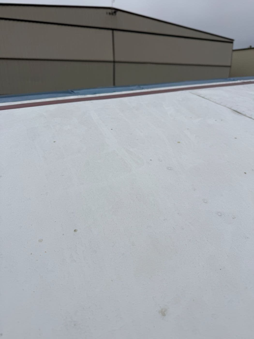 Dull, streaked wing skin