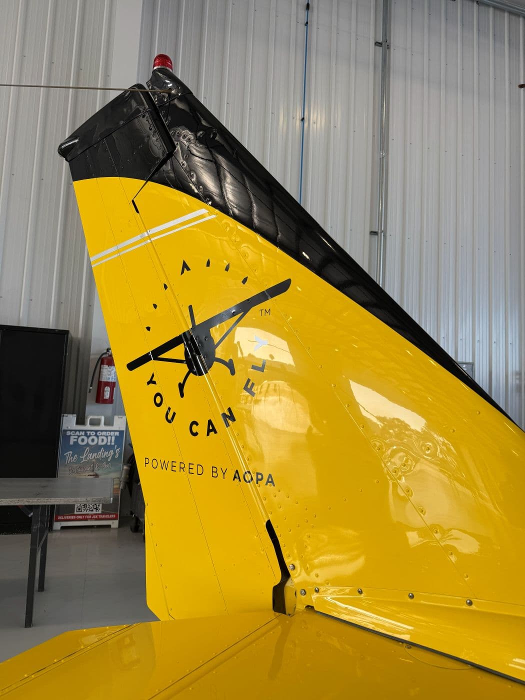 The tail fin, clean and glossy